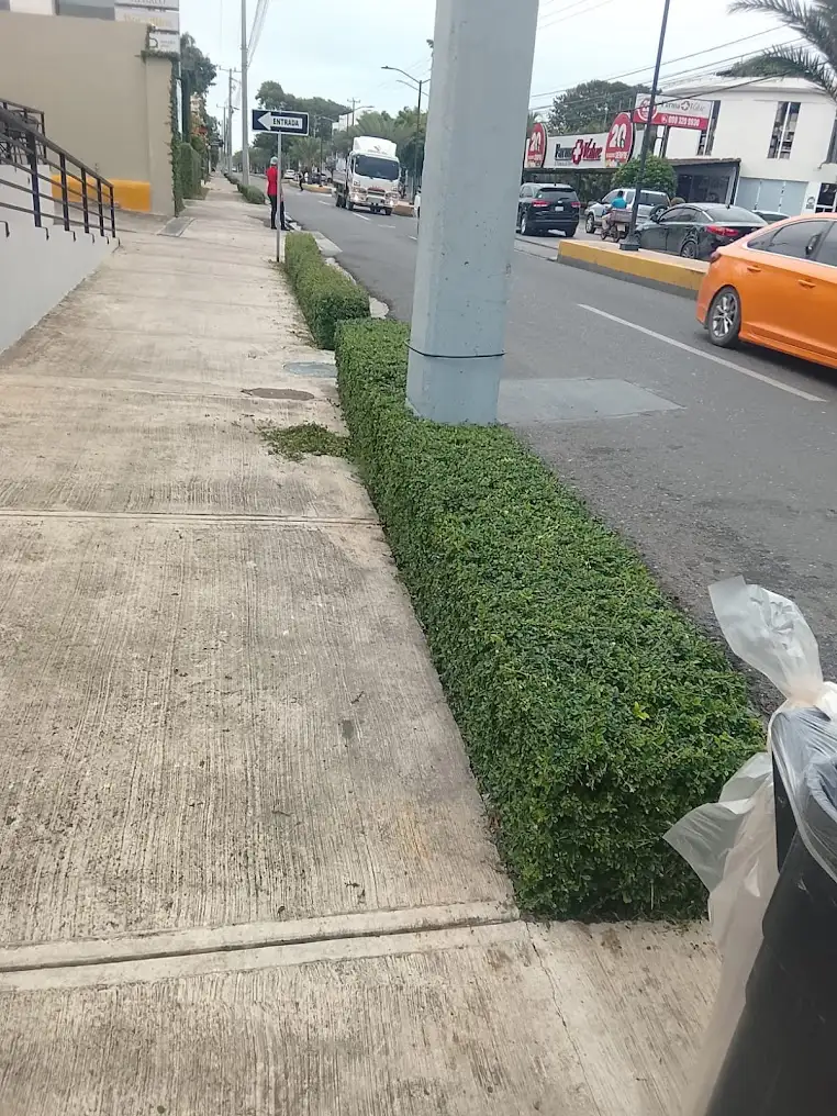 Poda de &aacute;rboles en Plaza Paseo, Puerto Plata