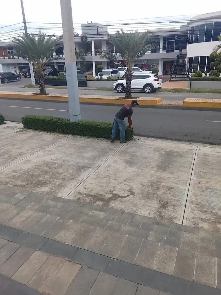Mantenimiento exterior y poda de &aacute;rboles en Plaza Paseo, Puerto Plata